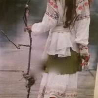 Miss Higginbottom (@katealsoolivia) 's Twitter Profile