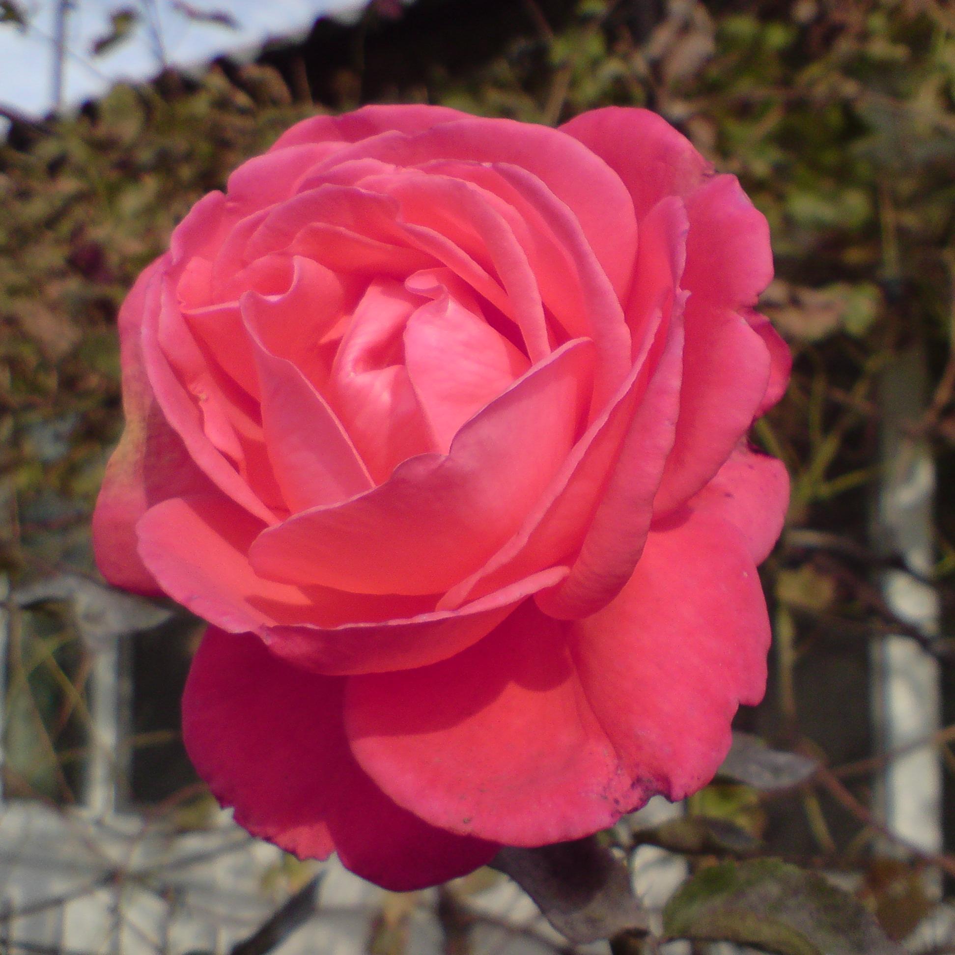 andrere2010's profile picture. 