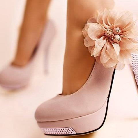 AmyAmyshemmy's profile picture. 