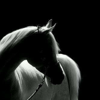 ‏‏‏‏‏‏‏‏عن ذنوبنا وعن كل إثم نستغفُرك ربنا ونتوُب إليك♡