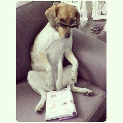 YAZGIKRE's profile picture. 