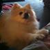 Debbie Fripp (@debbie0118) Twitter profile photo