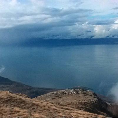 oceanviewrealt1's profile picture. 