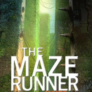 maze runner book project for Mrs. Beales class