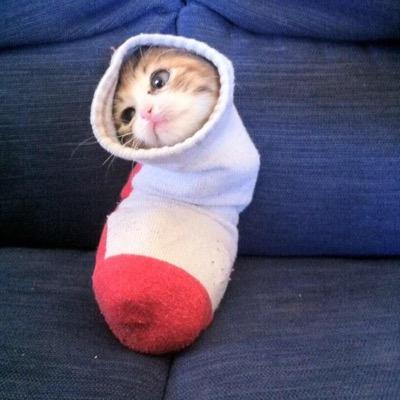hi i'm useless ~