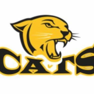 CatsVball's profile picture. 