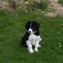 Dave Bain - @19530928 - Twitter