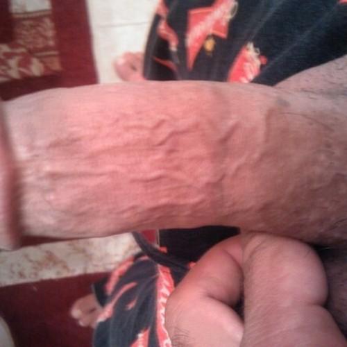 queensbridge79's profile picture. 