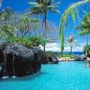  gail simon - @gailsimon67 - Twitter