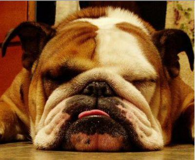 eatatemersons's profile picture. Chef/Owner Emerson's Cafe/Restaurant