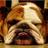 eatatemersons's profile image