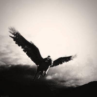 Potterecious's profile picture. Harry Potter. Need I say more?