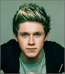 Hi I am niall or ni I like to sing play guitar and have fun