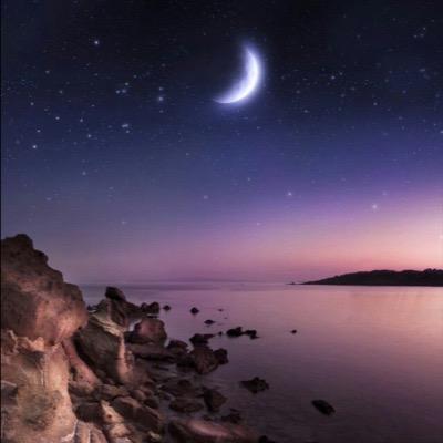 New Twitter Profile