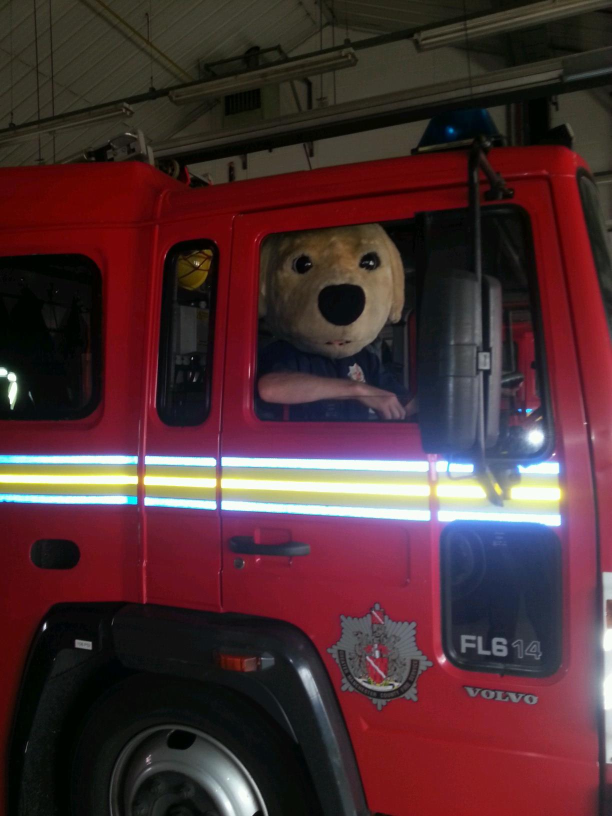 jonnylabels's profile picture. Drummer with Dead Replicas. Firefighter.