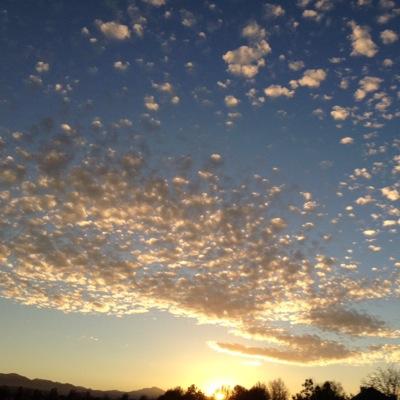 Saluer le ciel, chaque fois qu'il est possible de l'apercevoir...