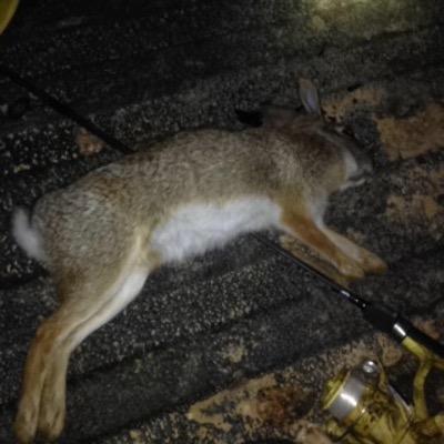My name is Ramon. I run Cross-Country.I live in a good ole town called Florence. Destanie is my awesome friend. ❤️Mark and Tucker are my Hunting Buddies
