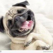 TanJermyn's profile picture. 