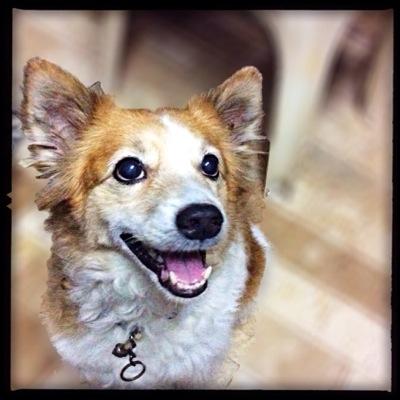 tsiy's profile picture. 