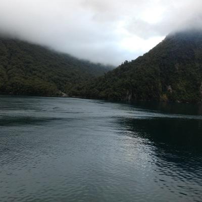 nzetunes's profile picture. 