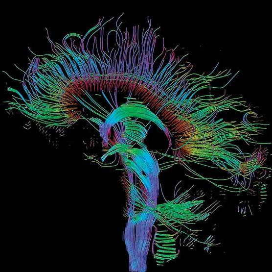 ComplSpectrum's profile picture. #Anonymous #HandsoffSyria #HandsoffUkraine #Palestine #Gaza               Avoid #GroupThink. Keep an open mind to new observations, facts, and evidence.