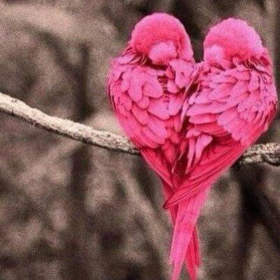 kimmin782's profile picture. Simple and hot