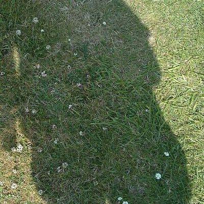 thelordford1974's profile picture. Birds butterflies and coins