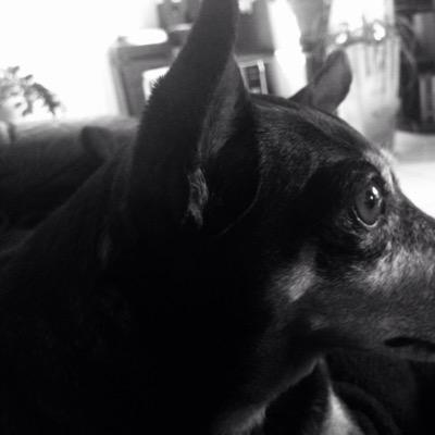 ninaetjul's profile picture. Protéger la Vie sous toutes ses formes...