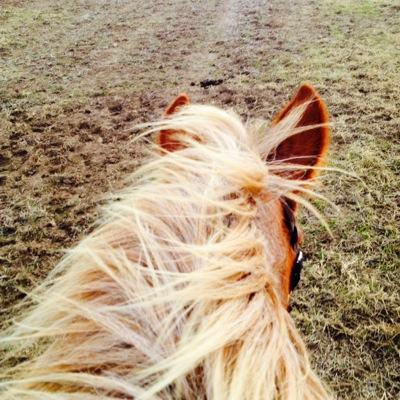 Real Estate Agent with Keller Williams, specializing in Farm & Ranch property.