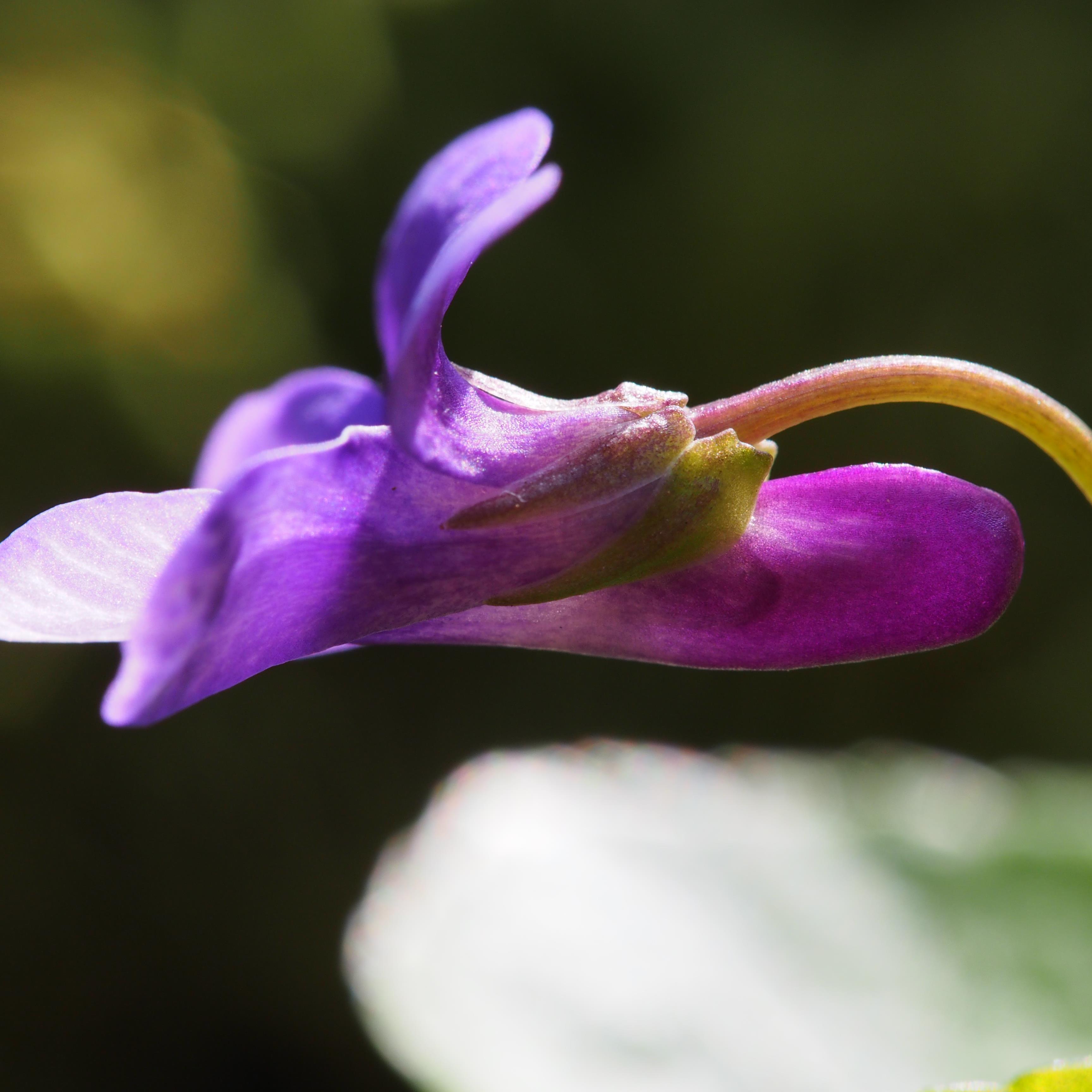 u68mbe's profile picture. 