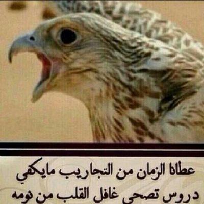 ‏503سبيع#mommy@