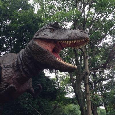 人間手前。正しい人間になりたい。