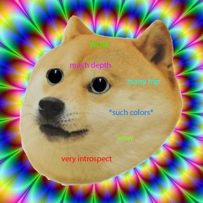 Trippy dog pictures