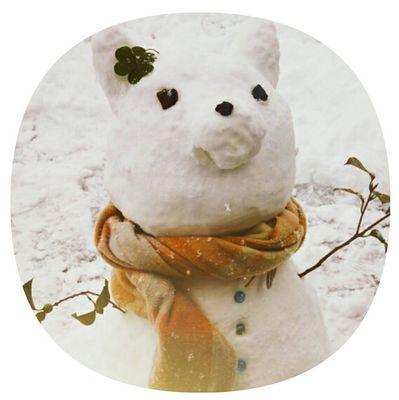 椙山 環境デザイン4年 / 夜宵＊きんぎょ