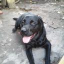 victor daniel canter - @vicante0646 - Twitter