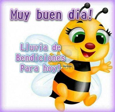 wahtsapp 829-934-3679