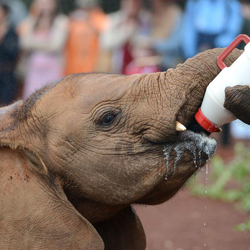 pradeesh1978's profile picture. 