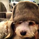 patsy murphy - @impassionedg57 - Twitter