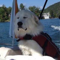 Marlon (@marlonpatton) 's Twitter Profile Photo