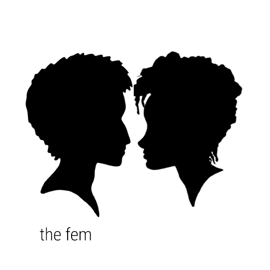 The Fem