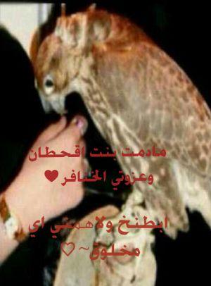 ‏اعتزي باالخنافر وصبيان قحطان،،،فزعتن تاتيك في حلهاء