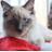 marleenvael's profile image