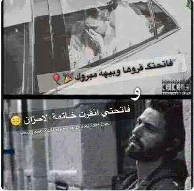 bassamaamer11's profile picture. 