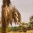 almajed_me's profile image