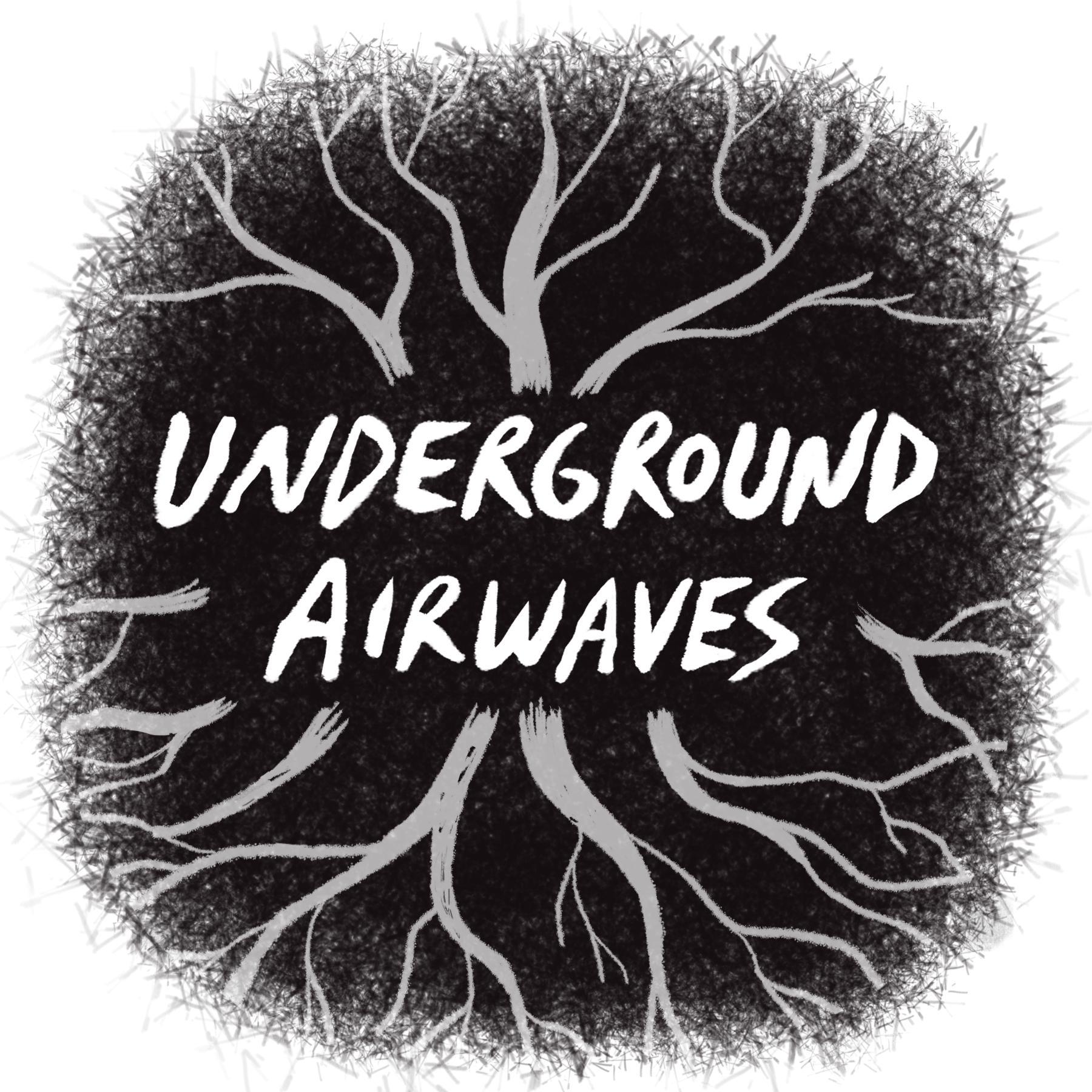 unairpodcast's profile picture. A radio and podcast producer in Portland, OR