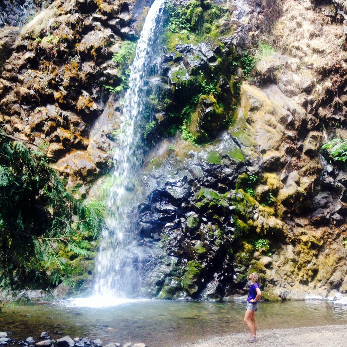 alysonsaaad's profile picture. 