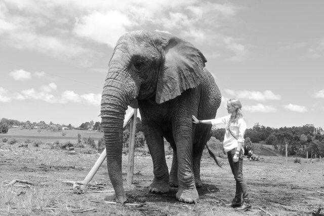 Twigstixx's profile picture. Constantly Dreaming. Art & Music = Life. The simplicity's and beauties in life. 160 Characters is simply not enough.