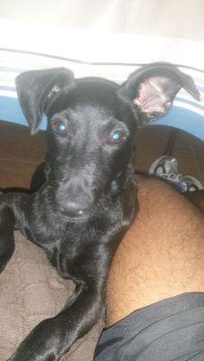 andyxxxxperal's profile picture. sigueme y te sigo