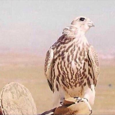 الكتابہ / عنکَ ، بکَ ، لکَ , من أجلكَ و بسببکَ انت ضيفني = اضيفك. تغريداتي بالمفضله