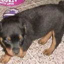 Erick Coronado - @lolinho1 - Twitter